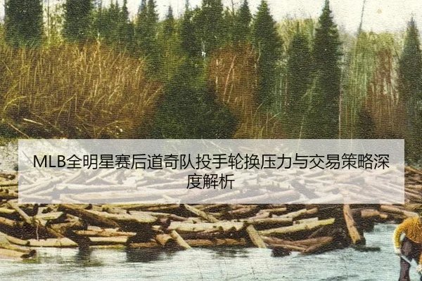 quan-ming-xing-sai-hou-dao-qi-dui-tou-shou-lun-huan-ya-li-yu-jiao-yi-ce-lve-shen-du-jie-xi-2-220.jpg
